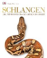 Schlangen Mattison Chris