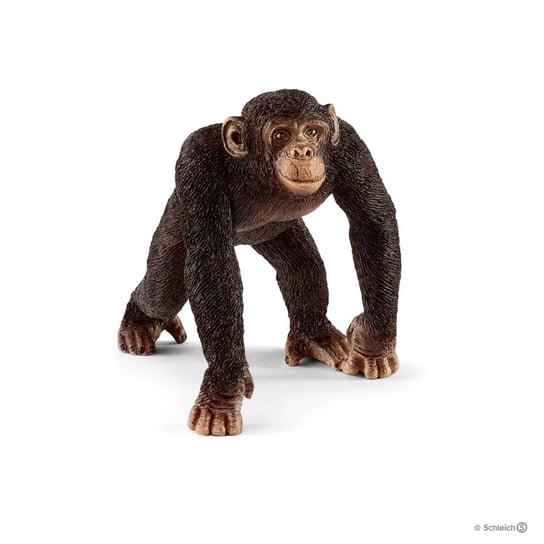 SCHLEICH 17058 SZYMPANS SAMIEC małpa zwierzę figurka kolekcjonerska PREMIUM Schleich