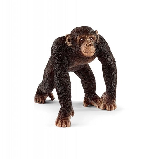 Schleich, Figurka kolekcjonerska, Szympans samiec Schleich