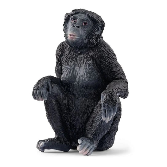 Schleich, Figurka Samicy Szympansa Karłowatego Schleich
