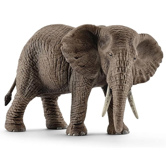 Schleich Wild Life - Słoń afrykański samica, figurka dla dzieci 3+ Schleich
