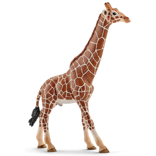 Schleich Wild Life - Żyrafa samiec, figurka dla dzieci 3+ Schleich