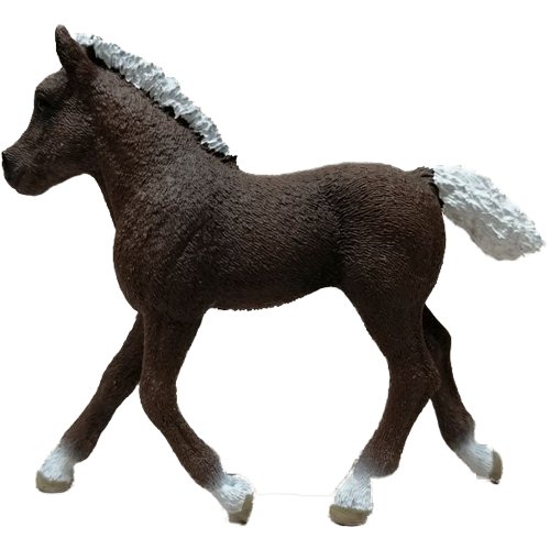 SCHLEICH ŹREBAK ZE SCHWARZWALDU KOŃ FIGURKA BLACK FOREST FOAL KONIK Schleich