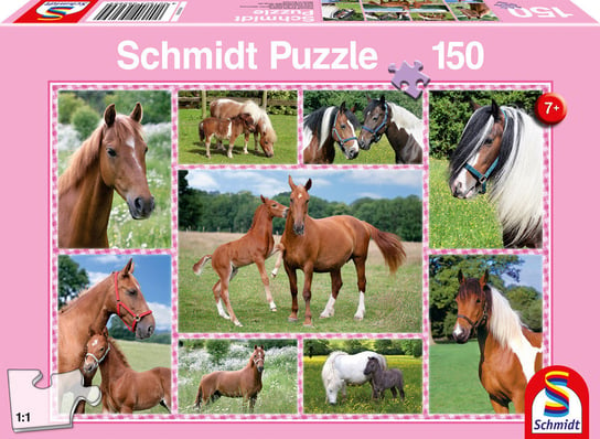 Schmidt, puzzle, Konie, 150 el. Schmidt