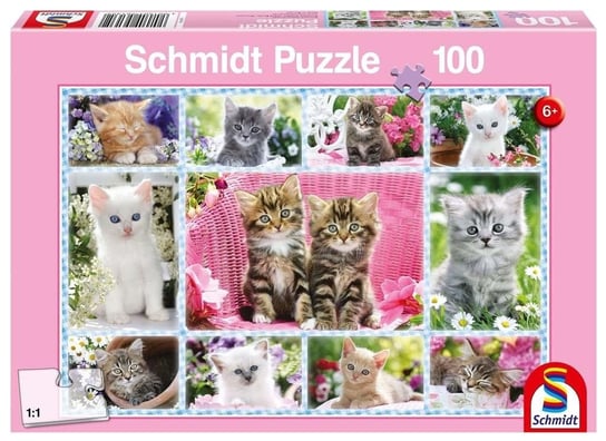Schmidt, puzzle, Koty, 100 el. Schmidt