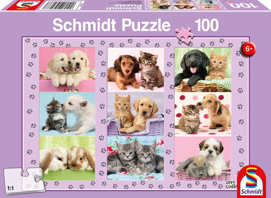 Schmidt, puzzle, Przyjaciele, 100 el. Schmidt