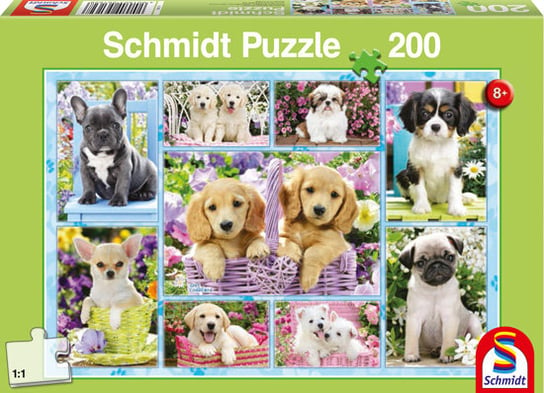 Schmidt, puzzle, Szczeniaki, 200 el. Schmidt