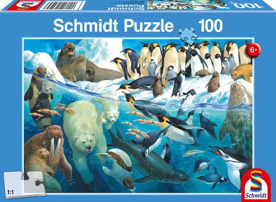 Schmidt, puzzle, Zwierzęta rejonów polarnych, 100 el. Schmidt