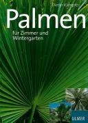 Schöne Palmen für Zimmer und Wintergarten Kampfer Dieter