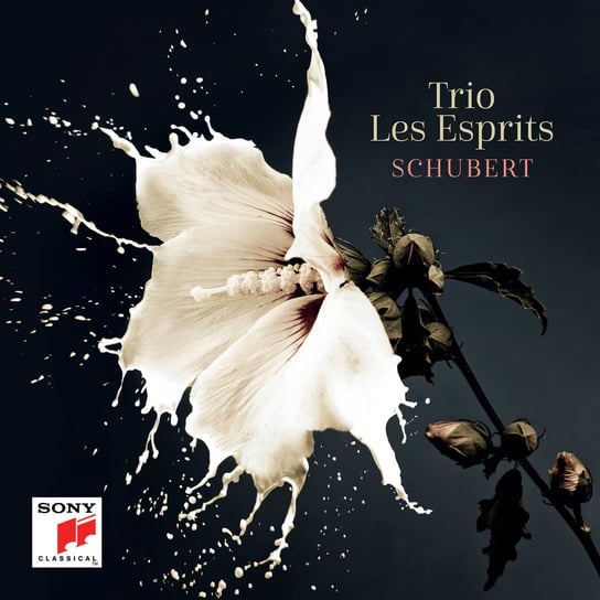 Schubert Trio Les Esprits