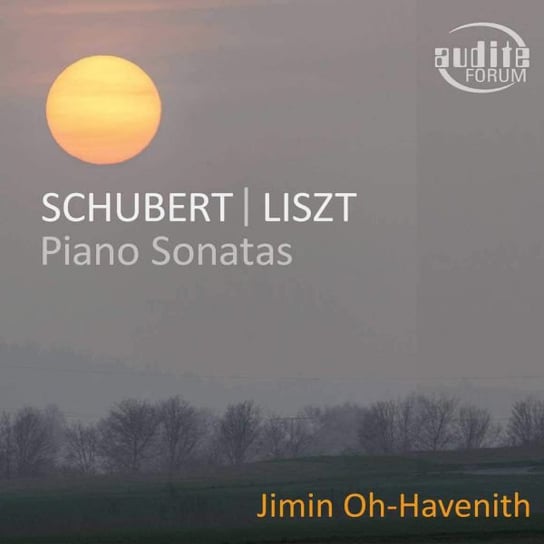 Schubert Piano Sonata In G Major - Liszt Piano Sonata In B Minor Various Artists