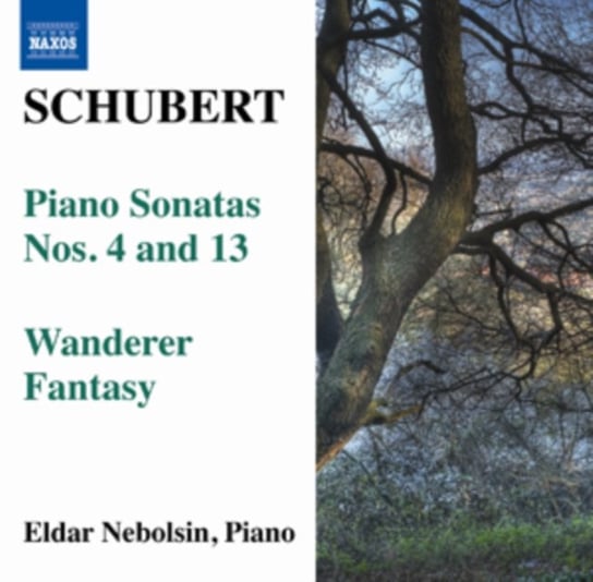 Schubert: Piano Sonatas Various Artists