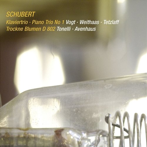 Schubert: Piano Trio No. 1 in B-Flat Major, D. 898; Introduction and Variations, D. 802 Lars Vogt, Antje Weithaas, Tanja Tetzlaff, Silke Avenhaus, Chiara Tonelli