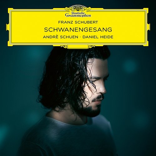 Schubert: Schwanengesang, D. 957: No. 12, Am Meer Andrè Schuen, Daniel Heide