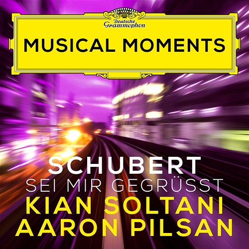 Schubert: Sei mir gegrüßt, D. 741 Kian Soltani, Aaron Pilsan