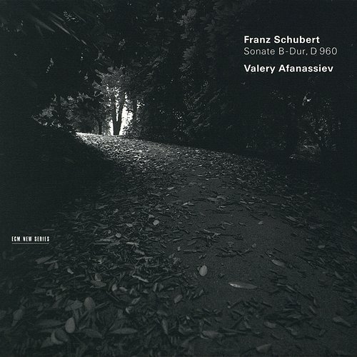 Schubert: Sonata in B-Flat, D960 Valery Afanassiev