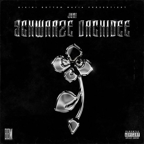 Schwarze Orchidee Juri
