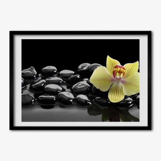 Ścienny foto-obraz do salonu TULUP Orchidea 70x50 cm Tulup