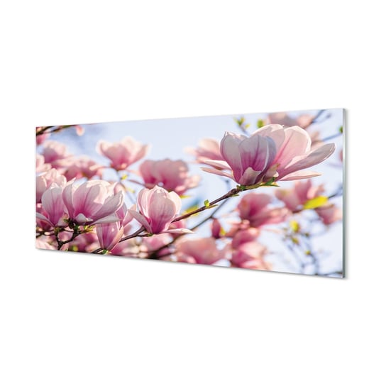 Ścienny foto obraz TULUP Magnolia, 125x50 cm Tulup