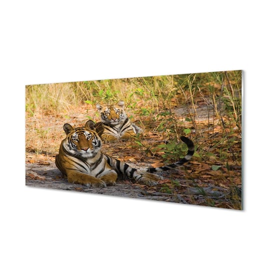 Ścienny foto obraz TULUP Tygrysy, 100x50 cm cm Tulup