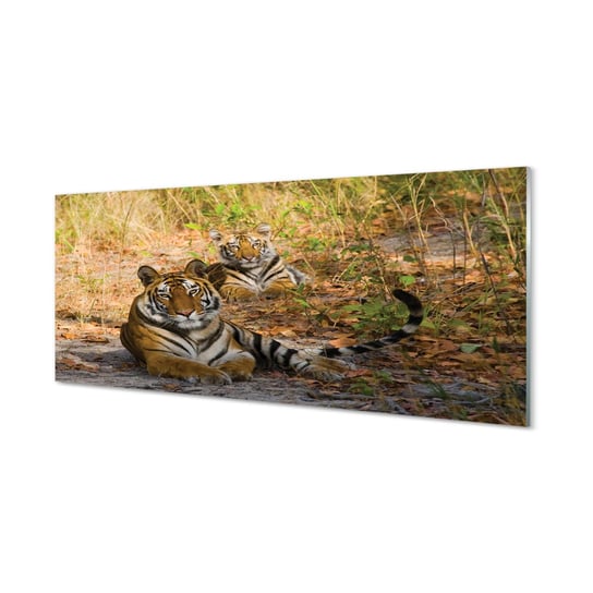 Ścienny foto obraz TULUP Tygrysy, 125x50 cm Tulup