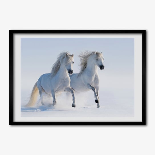 Ścienny obraz ramka TULUP Dwa konie w śniegu 70x50 cm Tulup