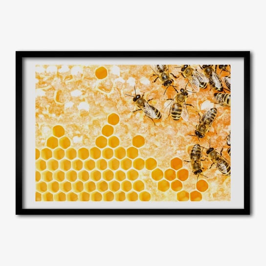 Ścienny obraz ramka TULUP Pracujące pszczoły 70x50 cm Tulup