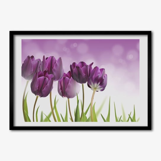 Ścienny obraz z ramką TULUP Filetowe tulipany 70x50 cm Tulup