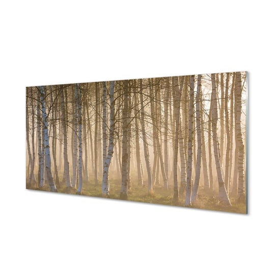 Ścienny panel Wschód słońca las drzewa 120x60 cm Tulup