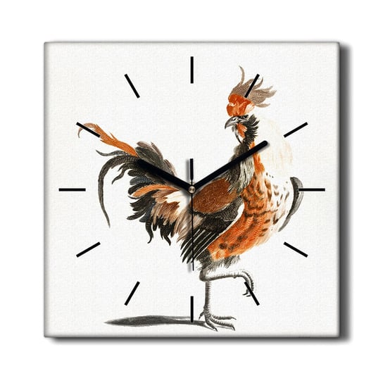 Ścienny zegar na płótnie wiszący Ptak kogut 30x30, Coloray Coloray