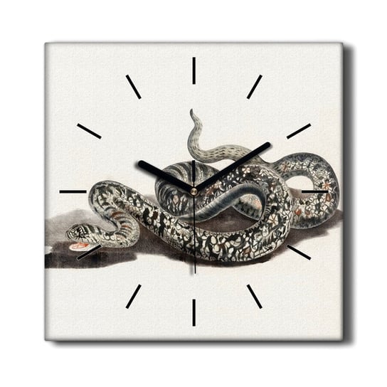 Ścienny zegar na płótnie Zwierzę wąż motyl 30x30, Coloray Coloray