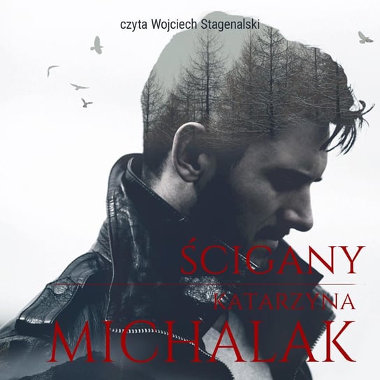 Ścigany - audiobook Michalak Katarzyna