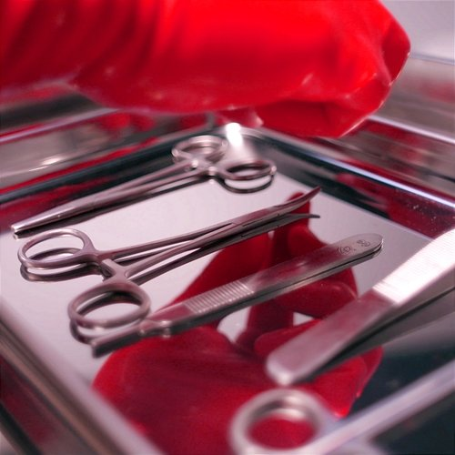 SCISSORS Transviolet