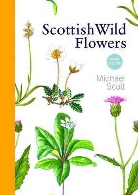 Scottish Wild Flowers Michael Scott