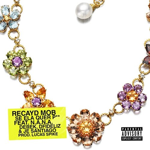 Se Ela quer P** Recayd Mob