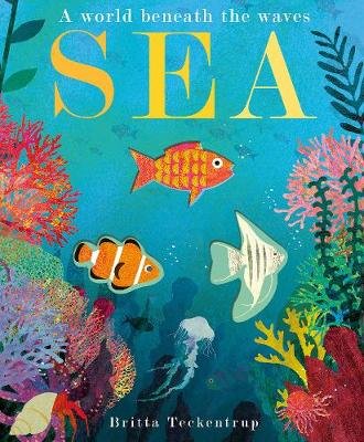 Sea: A World Beneath the Waves Hegarty Patricia