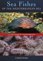 Sea Fishes Of The Mediterranean Including Marine Invertebrat Wood Lawson