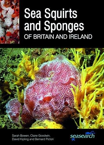 Sea Squirts and Sponges of Britain and Ireland Bowen Sarah, Goodwin Claire, Kipling David, Picton Bernard