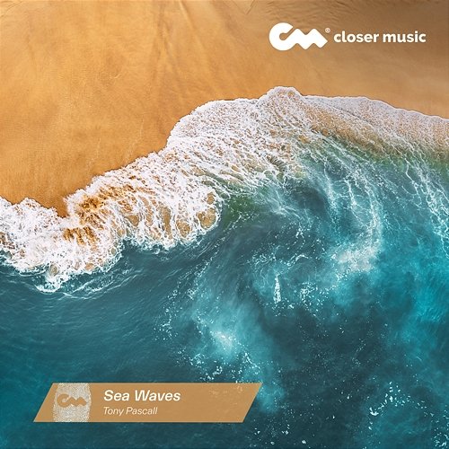 Sea Waves Tony Pascall