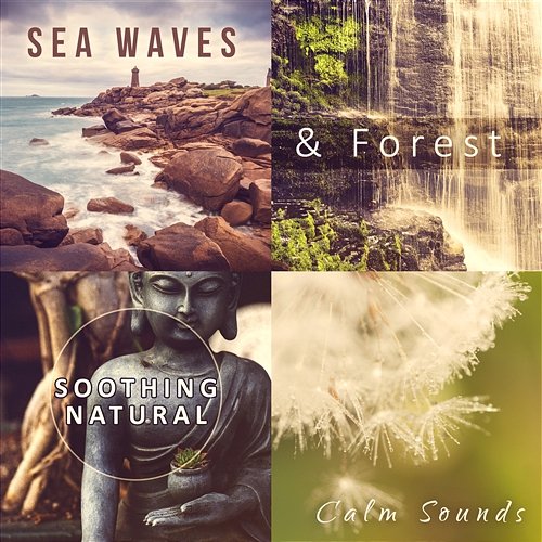 Sea Waves & Forest: Soothing Natural Calm Sounds – Meditation Music, Spiritual Healing, Zen, Distress, Delta Waves, Trouble Sleeping, Dreaming, Relaxing Rain Sounds Just Relax Music Universe