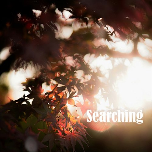 Searching Dustin Le
