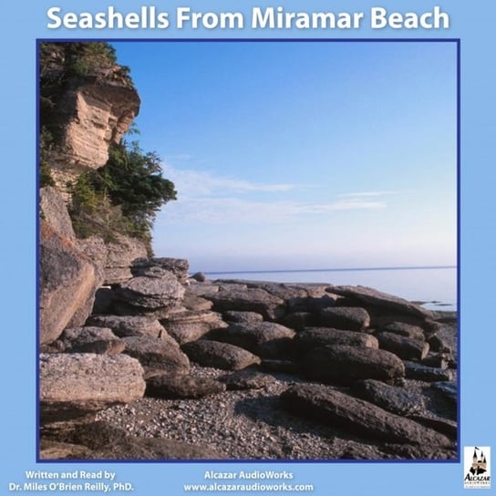 Seashells from Miramar Beach Riley Miles O'Brien
