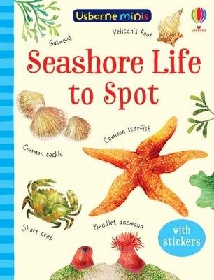 Seashore Life to Spot Smith Sam