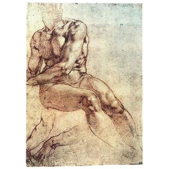 Seated Young Male Nude - Michelangelo 50x80 Legendarte