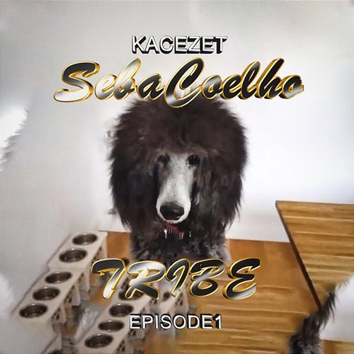 Seba Coelho (Episode 1: Tribe) KaCeZet