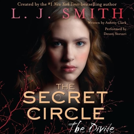 Secret Circle: The Divide Smith L. J.