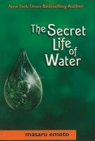 Secret Life of Water Emoto Masaru