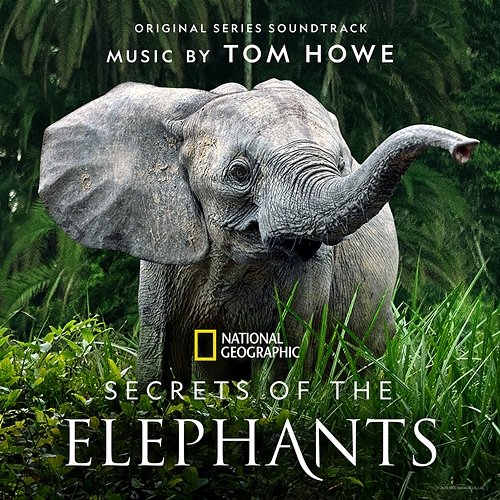 Secrets of the Elephants Tom Howe