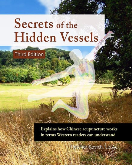 Secrets of the Hidden Vessels - ebook epub Fletcher Kovich