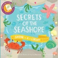 Secrets of the Seashore Brown Carron